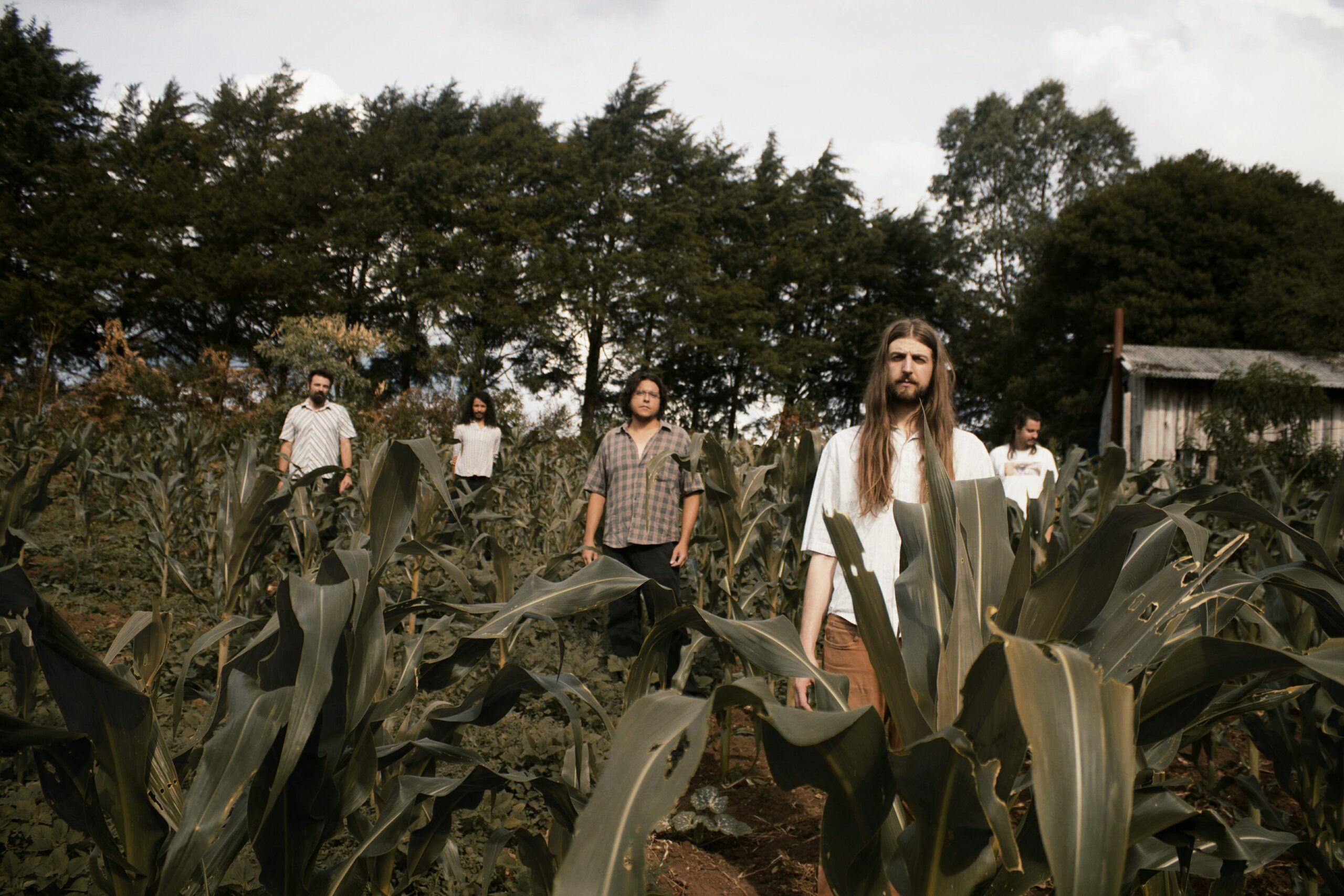 NÃO ALIMENTE OS ANIMAIS