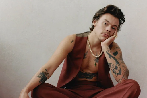 Harry Styles cancela vinda ao Brasil