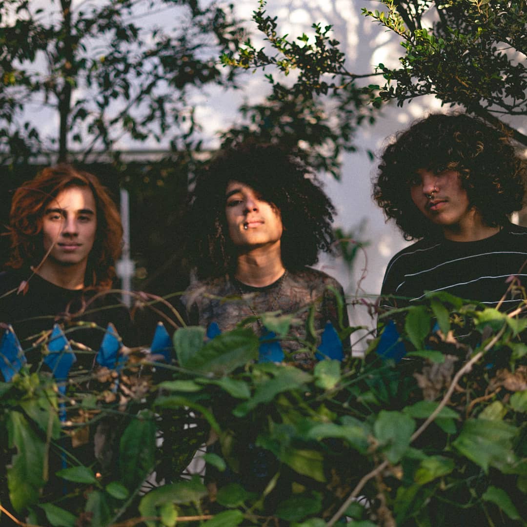 Hoovaranas Contratempos