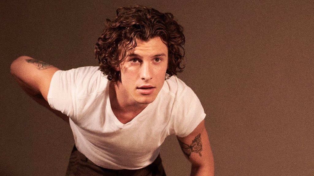 Shawn Mendes lança novo álbum: Wonder